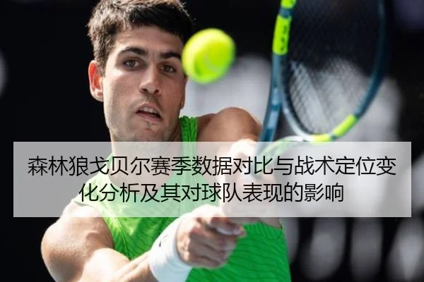 森林狼戈贝尔赛季数据对比与战术定位变化分析及其对球队表现的影响